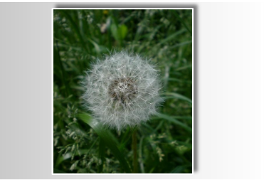 Description: PHOTO - Online exhibition